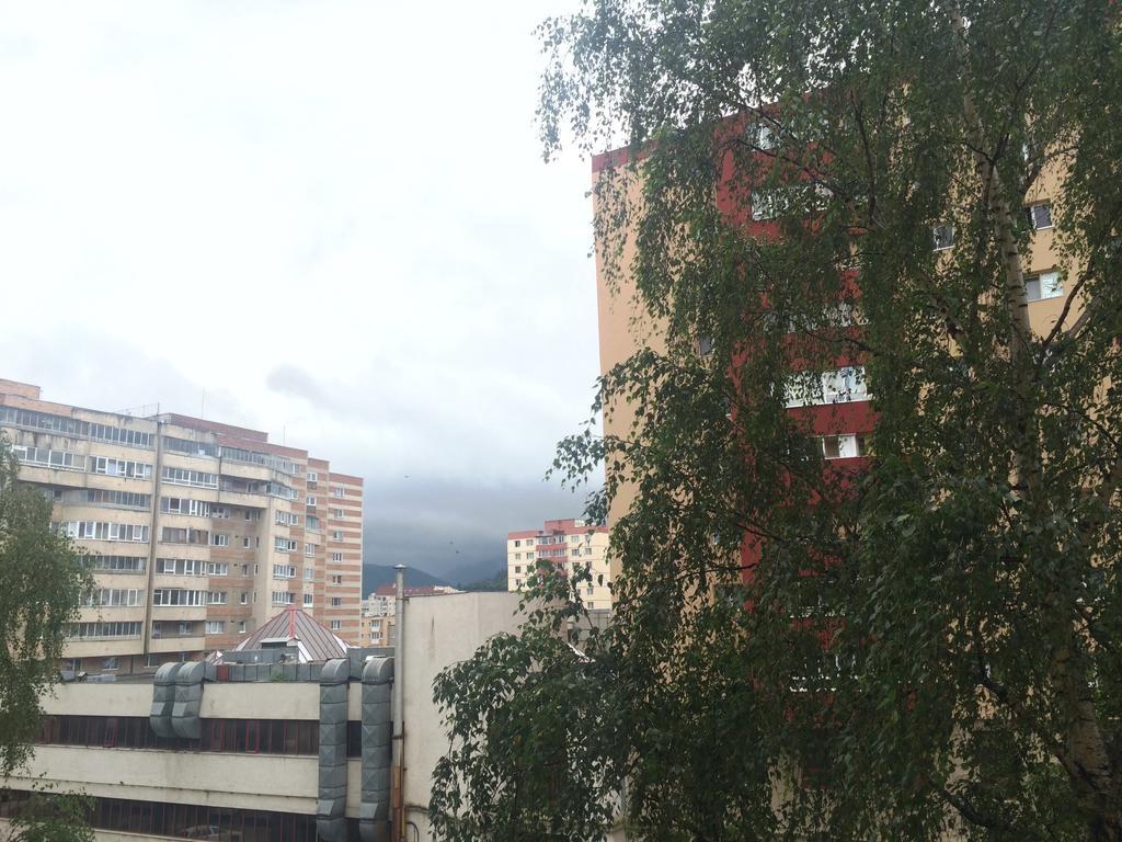Apartment Krondays Brasov Bagian luar foto